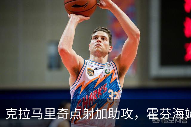 克拉马里奇点射加助攻，霍芬海姆2球拿下勒沃库森